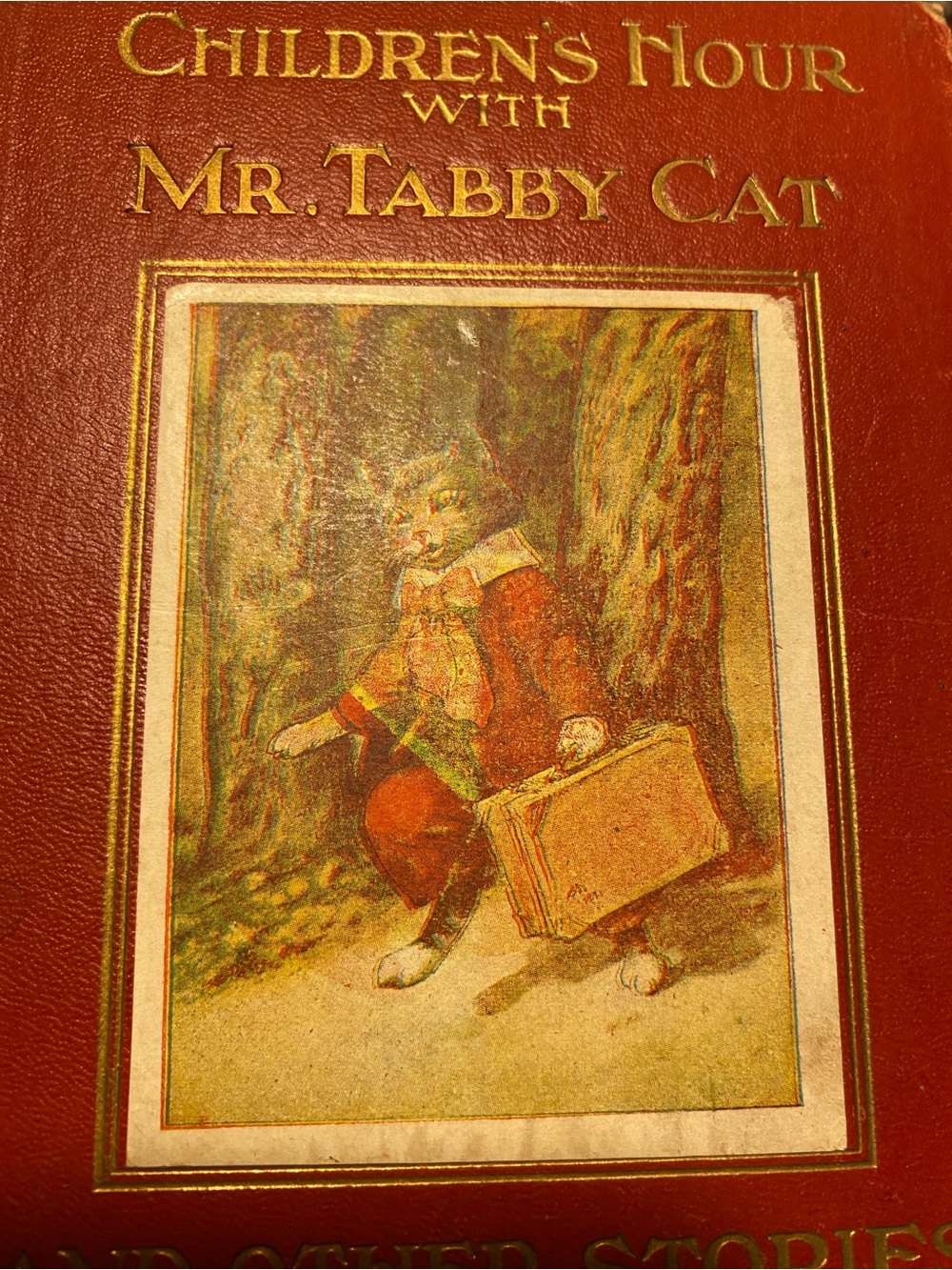 Children's Hour with Mr. Tabby Cat - Red Illustrated Cat Story Book - Picture 1 of 7